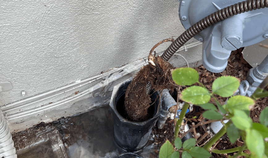 Blest Plumbing Services 